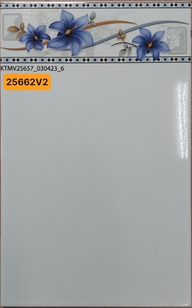 Gạch 25x40 25662 Thân LB