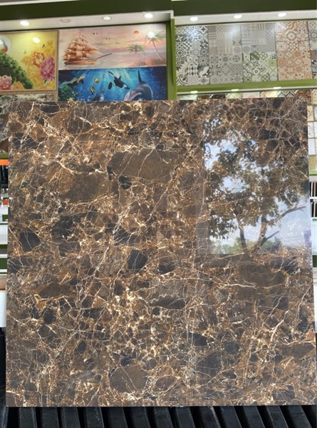 Gạch 60x60 6672 L2