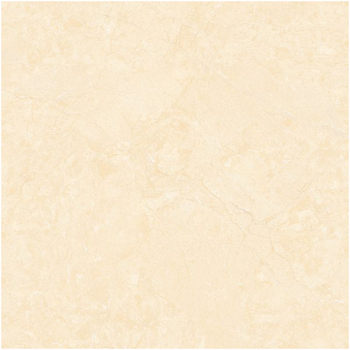 Gạch 60x60 6651 L1