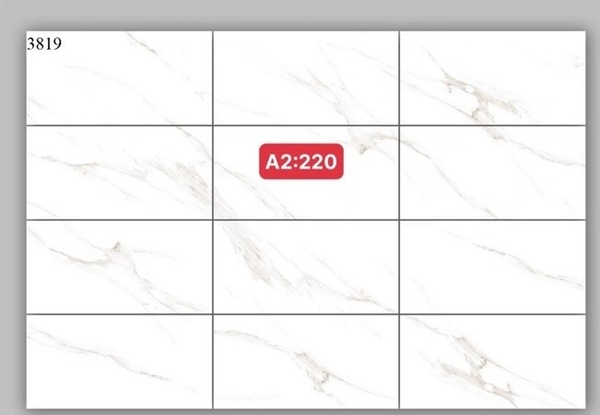 Gạch 30x60 3819 đá mờ L2