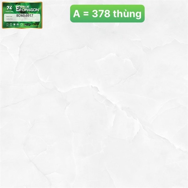 Gạch 60x60 6917 L1