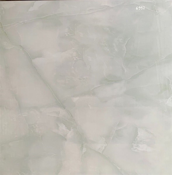 Gạch 60x60 6992