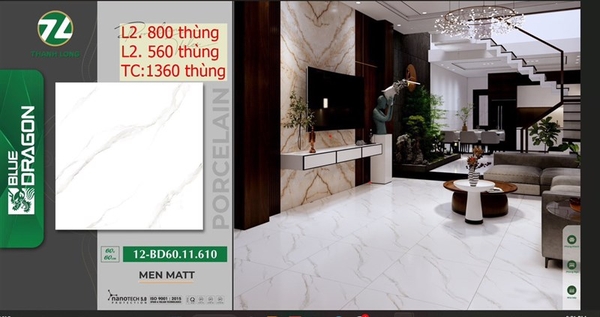 Gạch 60x60 11610 đá mờ L2