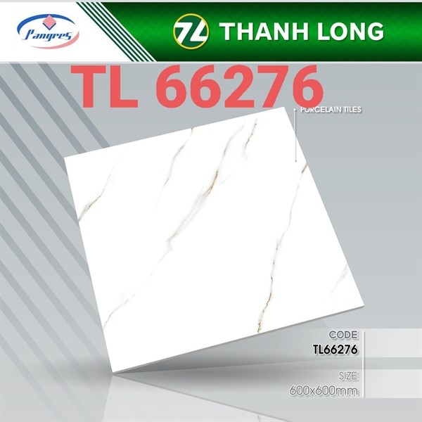 Gạch 60x60 66276 L1