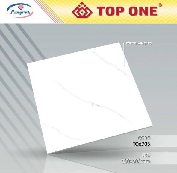 Gạch 60x60 TO6703 L1