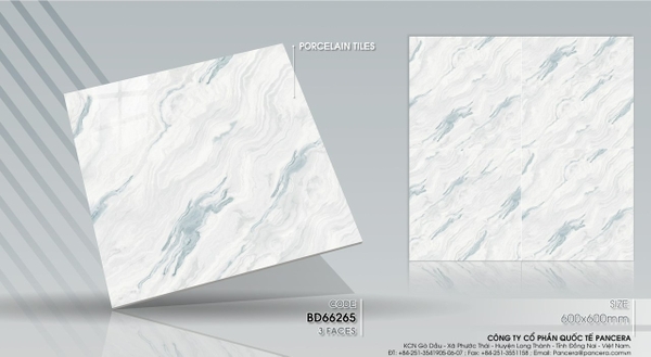 Gạch bóng kính 60x60 66265