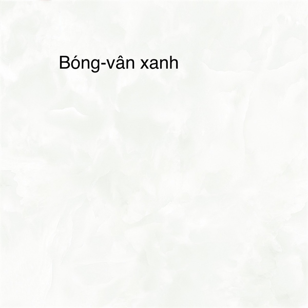 Gạch 60x60 PE7311 L2