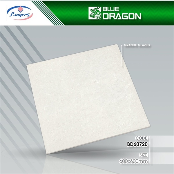 Gạch 60x60 60720 L2