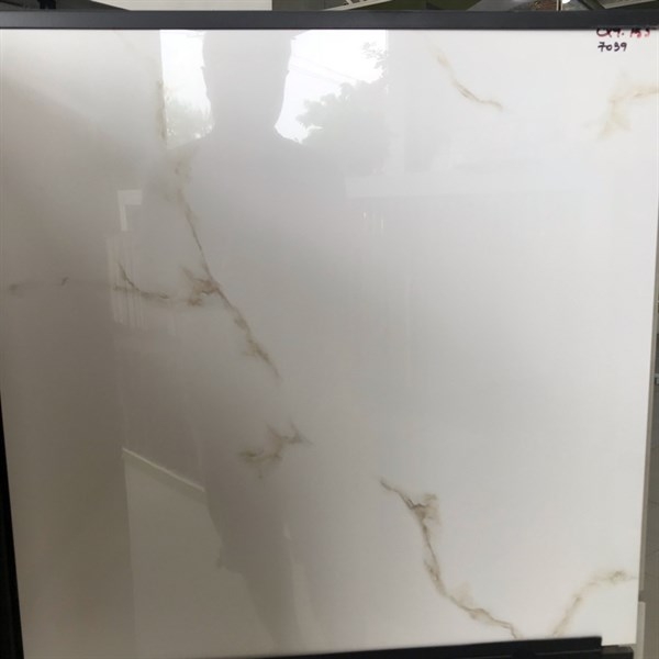 Gạch 60x60 7039