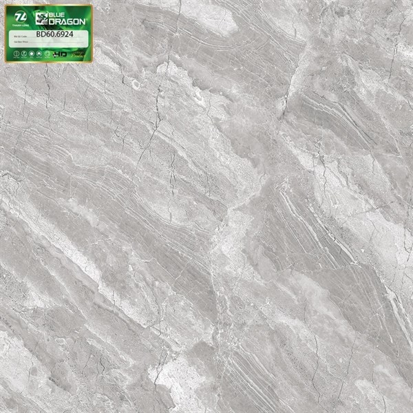 Gạch 60x60 6924 L2