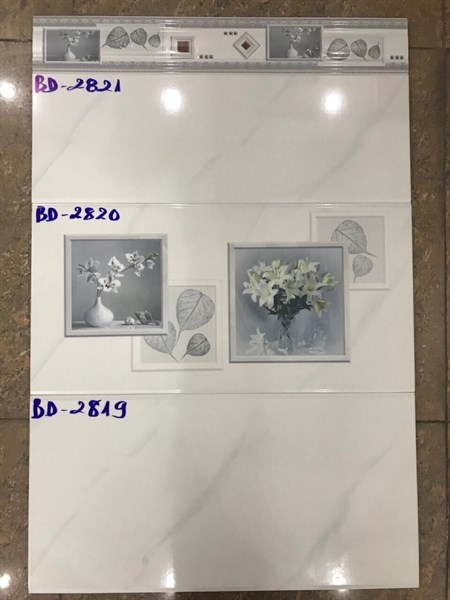 Gạch 30x60 2821 Viền L2