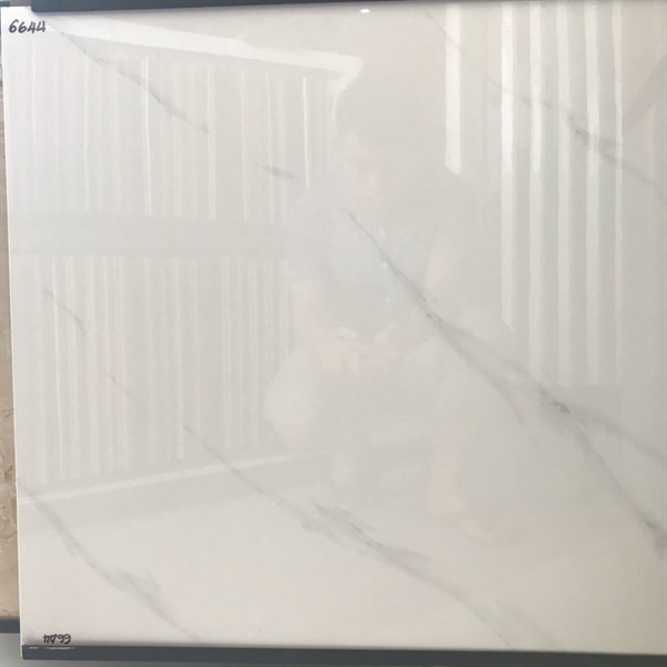 Gạch 60x60 6644 L1