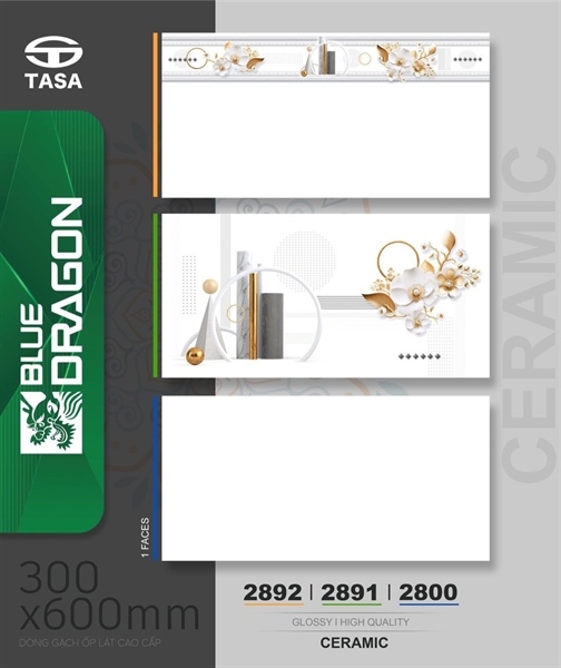Gạch 30x60 2892 Viền L1