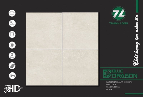Gạch 60x60 11605 Nhám L1