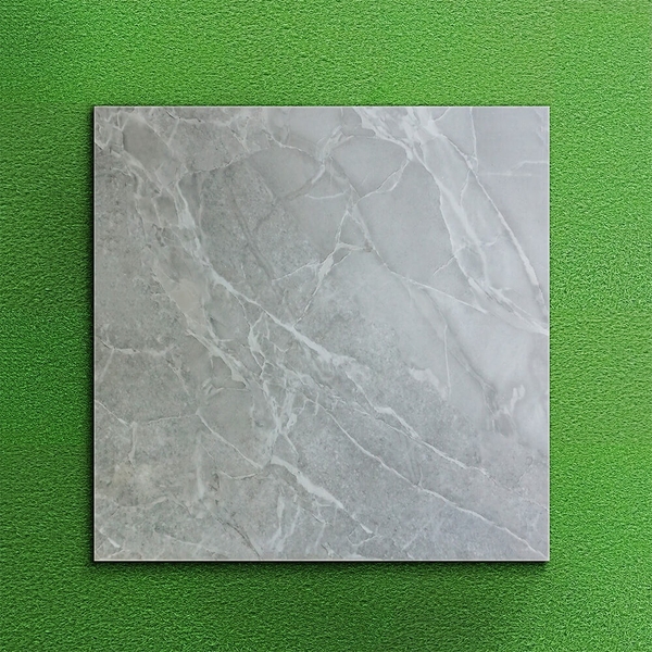 Gạch bóng kính 60x60 FB6002