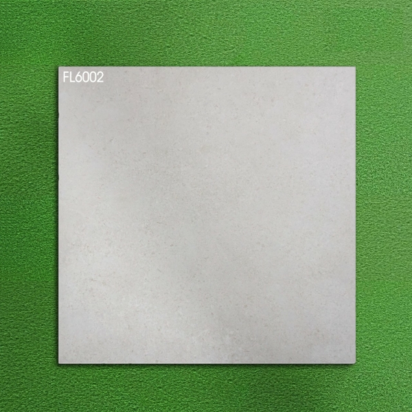 Gạch mờ nhám 60x60 FL6002