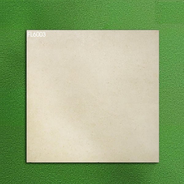 Gạch mờ nhám 60x60 FL6003