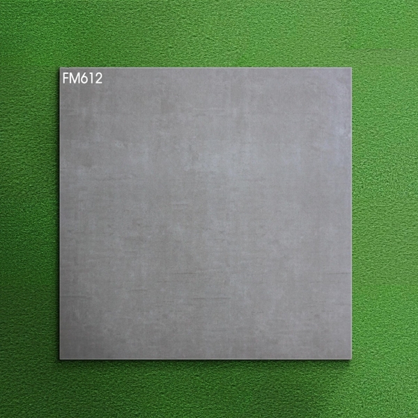 Gạch mờ nhám 60x60 FM612