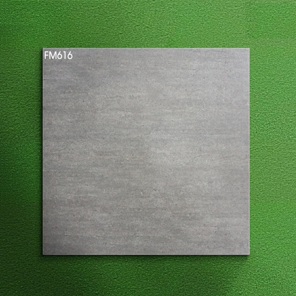 Gạch mờ nhám 60x60 FM616