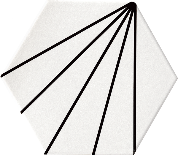 Gạch lục giác họa tiết Geometry ( Trắng đen)