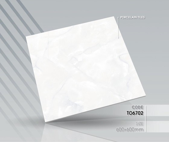 Gạch bóng kính 60x60 6702