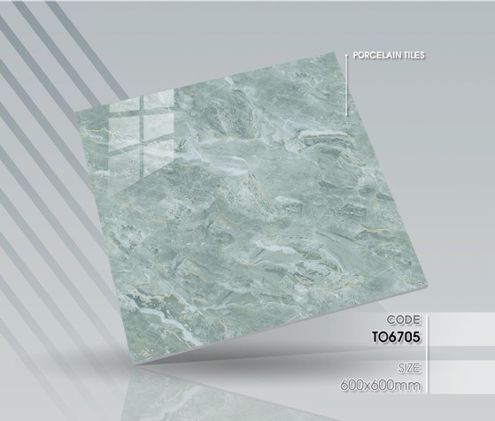 Gạch bóng kính 60x60 6705