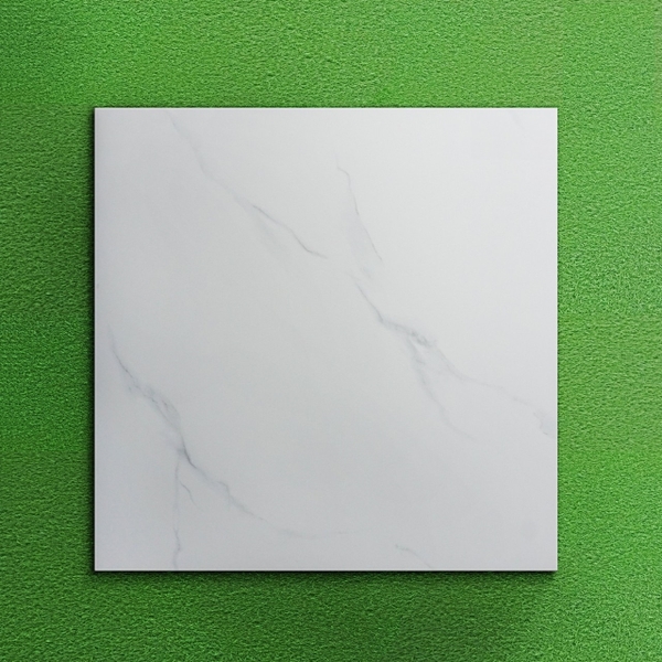 Gạch mờ nhám 60x60 VHP6601