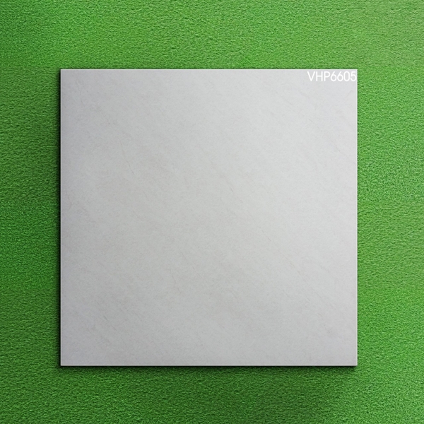 Gạch mờ nhám 60x60 VHP6605