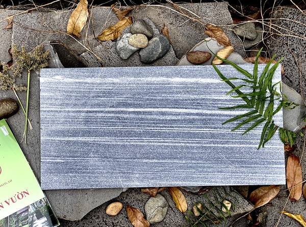 Xám Sọc Dưa