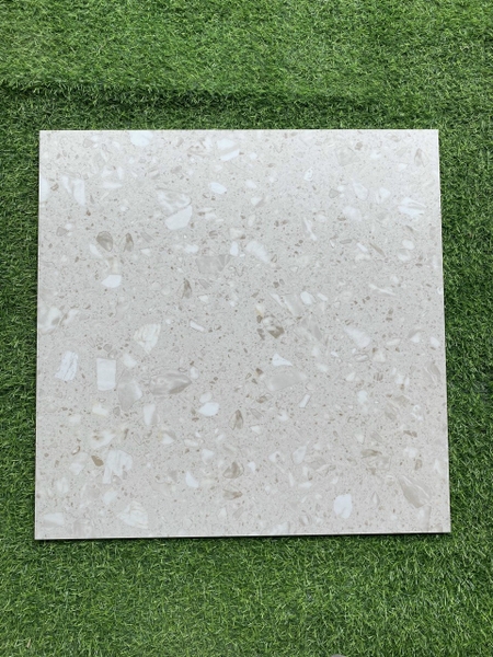 Gạch 60x60 Terrazzo
