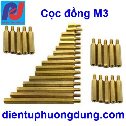 Cọc đồng M3 10+6 mm