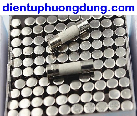 Cầu chì sứ 10A 5x20mm