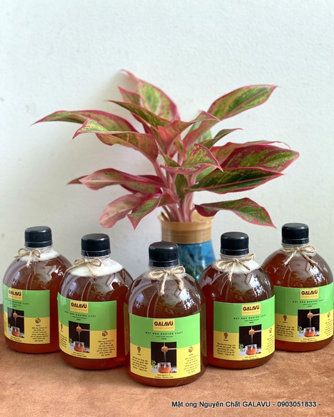 MẬT ONG HOA CAFE 0,5 LÍT (500ml) NGUYÊN CHẤT 