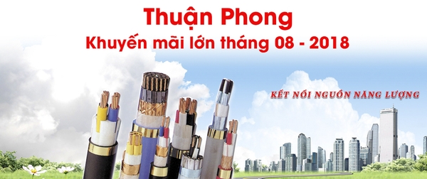 dây cáp điện Tài Trường Thành