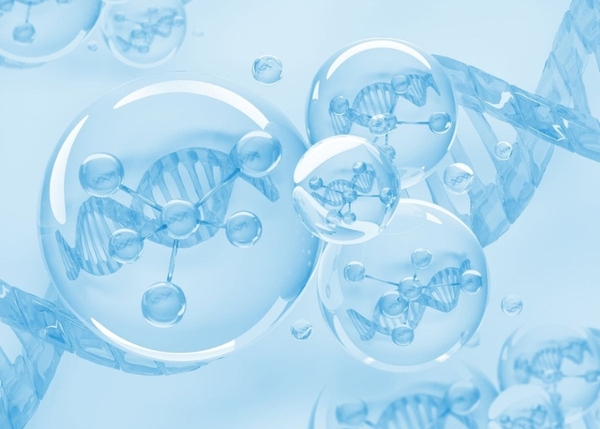 COLLAGENN TỪ CÁ, BÒ HAY HEO – ĐÂU LÀ LỰA CHỌN LÀNH TÍNH VÀ HIỆU QUẢ CHO DA?