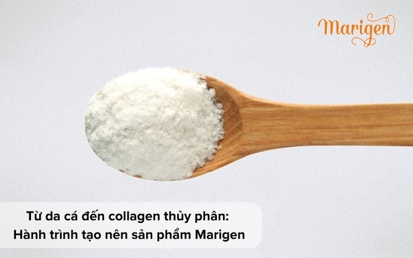 TỪ DA CÁ ĐẾN COLLAGEN THỦY PHÂN: HÀNH TRÌNH TẠO NÊN SẢN PHẨM MARIGEN