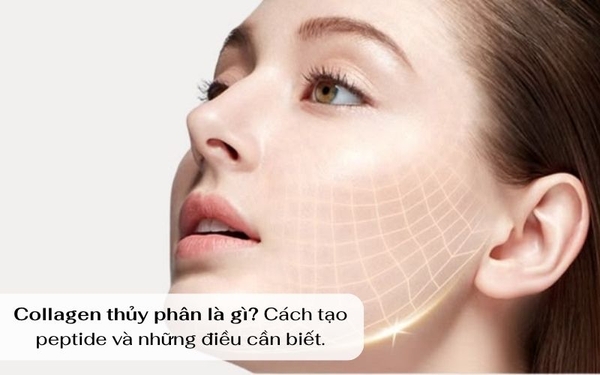 COLLAGEN THỦY PHÂN LÀ GÌ? CÁCH TẠO PEPTIDE VÀ NHỮNG ĐIỀU CẦN BIẾT