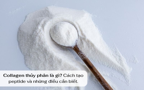 COLLAGEN TỪ DA CÁ DA TRƠN: 5 TIÊU CHÍ ĐÁNH GIÁ NGUỒN NGUYÊN LIỆU