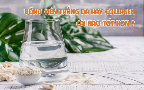 UỐNG VIÊN TRẮNG DA HAY UỐNG COLLAGEN THÌ TỐT HƠN?