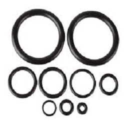 Oring tiêu chuẩn BS4518