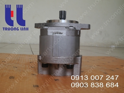 Hydraulic Gear Pump For Crane LW160-1