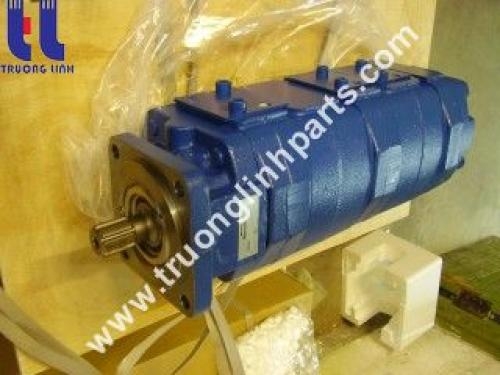 Hydraulic gear pump for Tadano TG500ERG