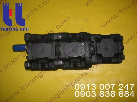Hydraulic gear pump for Crane Tadano TS70