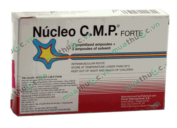 que es el nucleo cmp forte