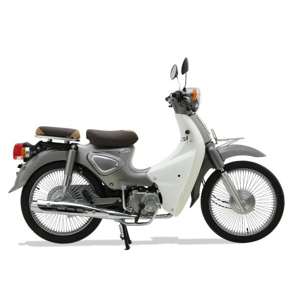 Xe máy 50cc ALLY CUB NEW 50 - Việt Hồng Chinh