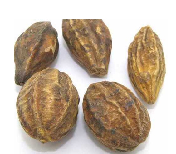 qua-kha-tu-mua-o-dau-tac-dung-qua-kha-tu-chua-viem-amidan