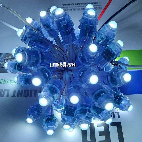 Tại sao bạn nên mua ngay LED đúc F8 JiYi để trang trí và làm biển quảng cáo chuyên nghiệp?