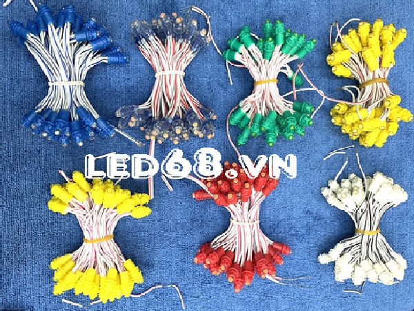 Led đúc F5 12 V có những ưu điểm vượt trội gì?