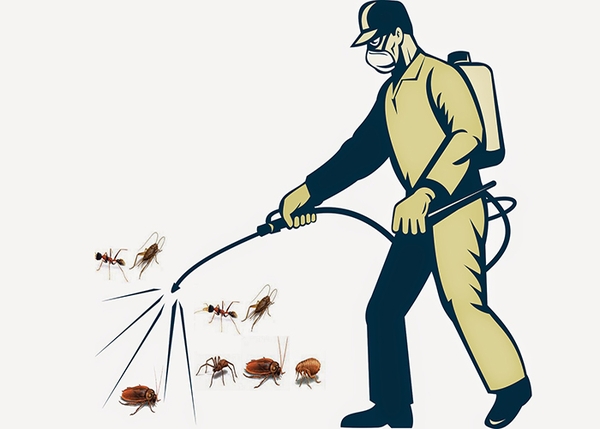 Mẹo khiến ruồi, muỗi, gián, chuột phải chạy ra khỏi nhà “tức tốc”