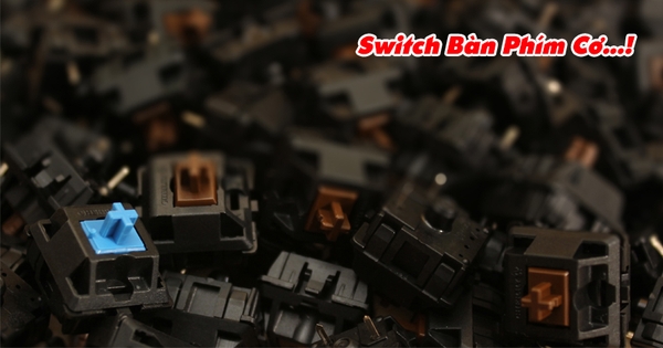 Tổng Hợp Các Loại Switch Bàn Phím Cơ Bạn Nên Biết